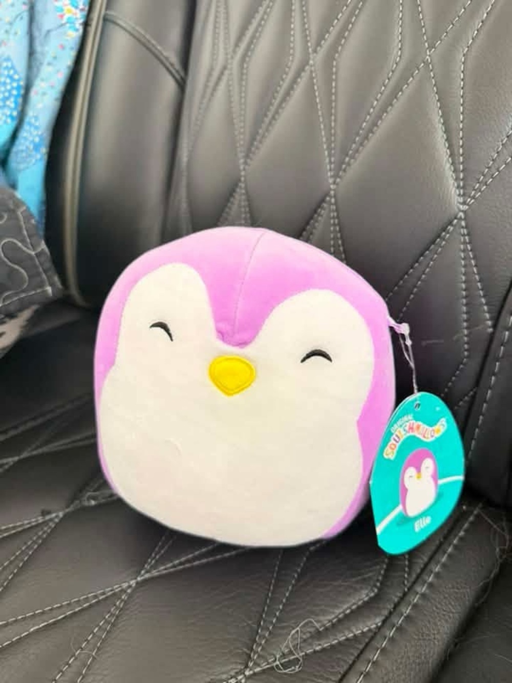 NWT squishmallow